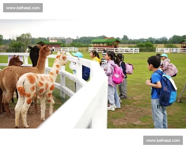 碧波映亲情 社区聚渔乐 ——和谐社区杯 家庭亲子垂钓联谊赛圆满落幕