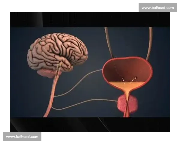 梦魇突袭！科学解析与实用应对指南