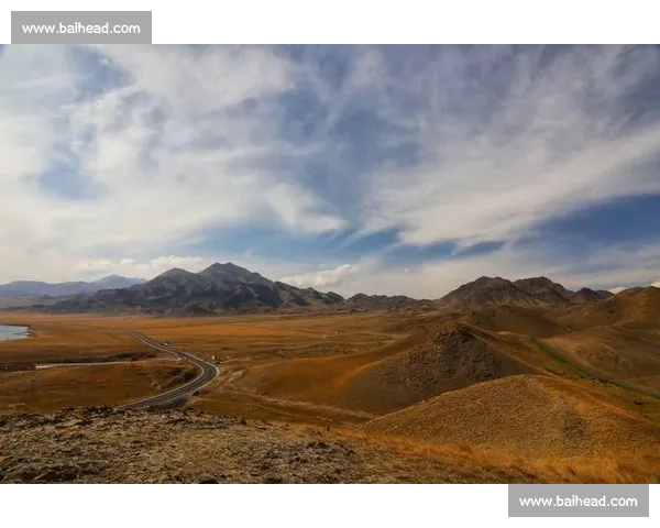 背起百岁奶奶看球赛：116 岁库尔班罕的足球圆梦之旅